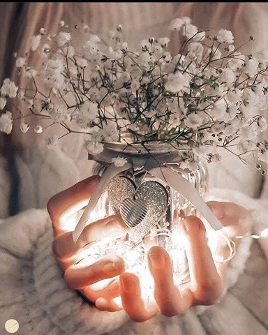 Милава Веда