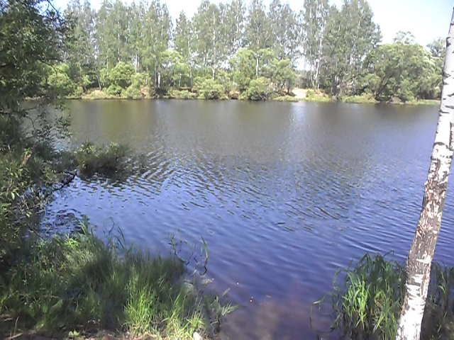 ������ ������������ 3