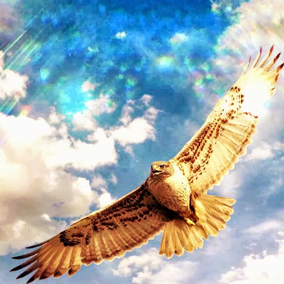 ���� ���-���