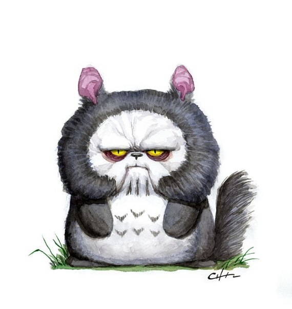 ��������� ��