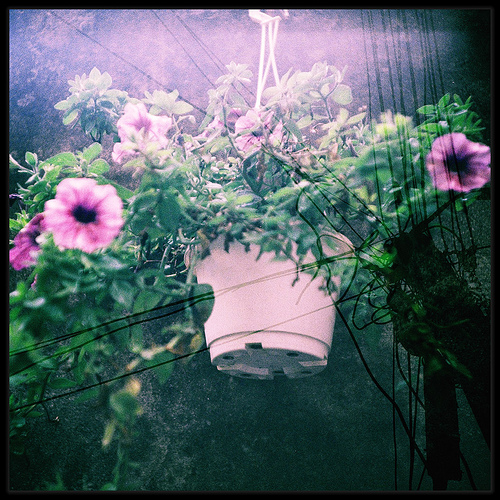 ������� ��������