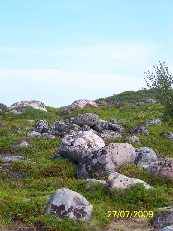 Дмитрий Безхмельнов