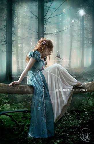 ������� ���������