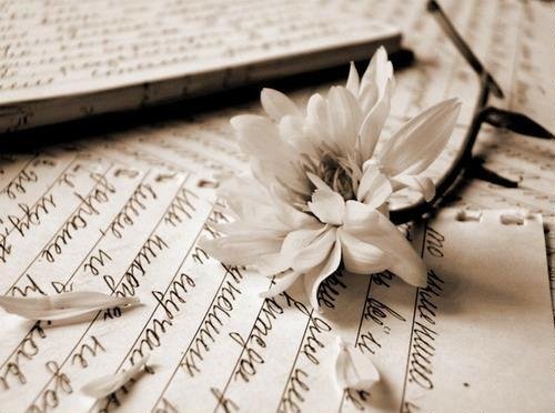 ����� �������