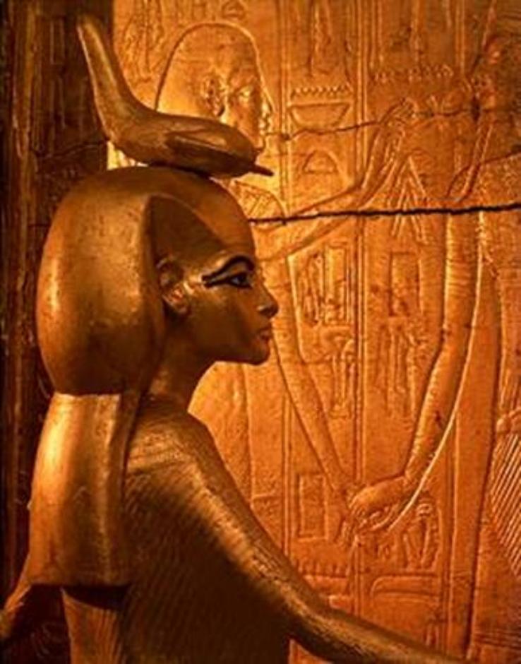 ���������