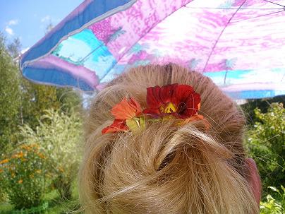 ���������� �������� ������������