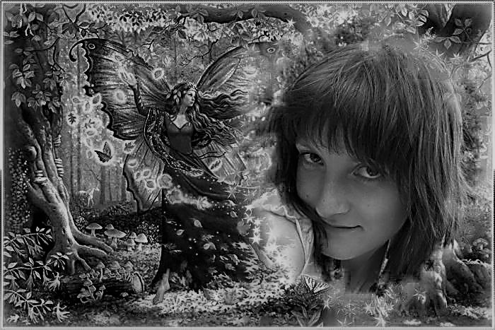 ���� ������