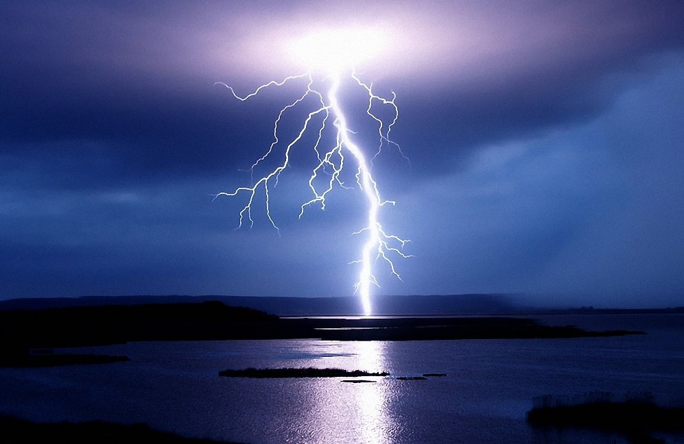 Наиль Карымсаков Кот