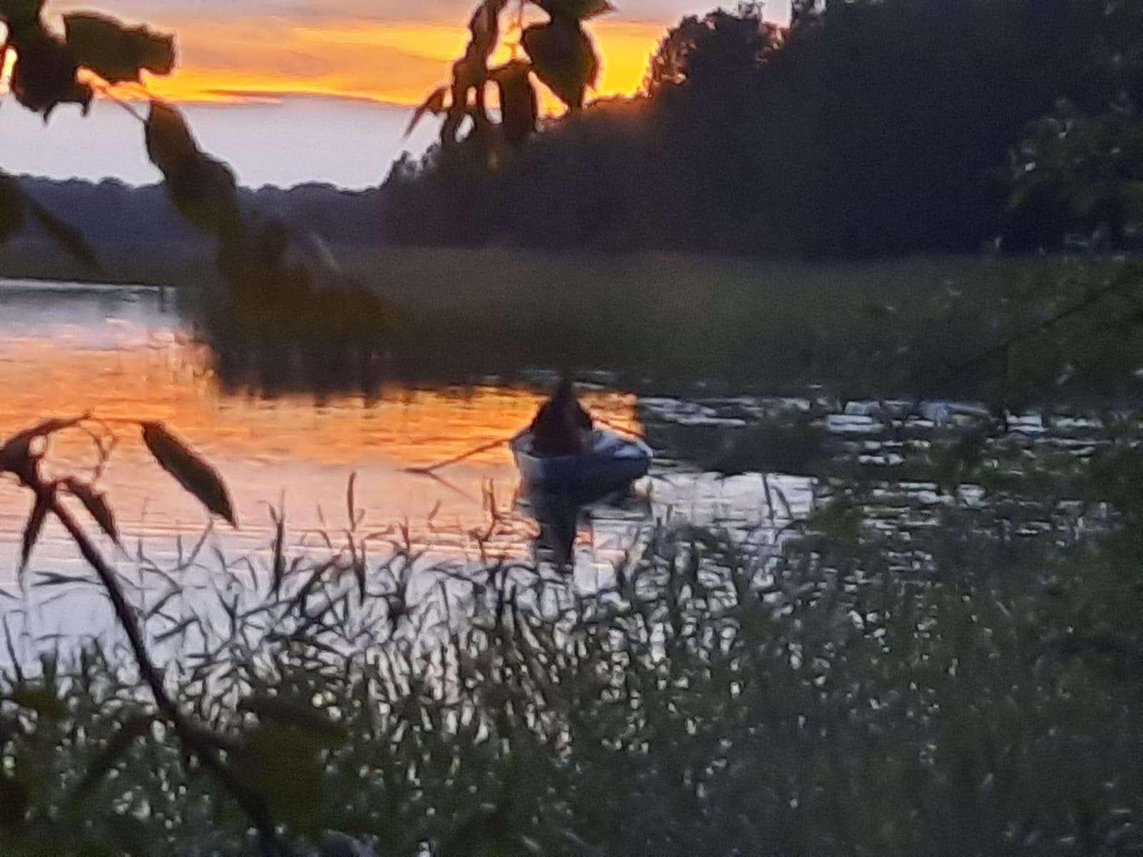 ��������� ����������