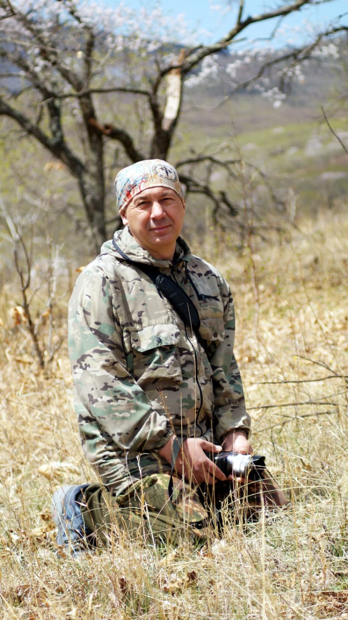 �������� ����