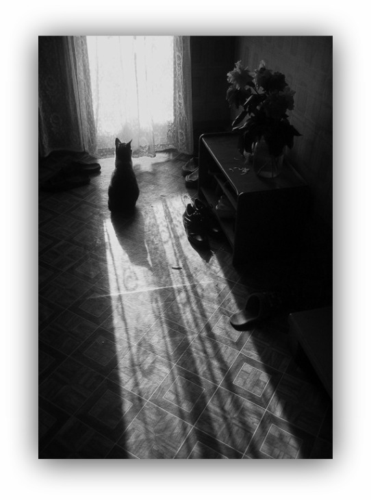 ������� ������