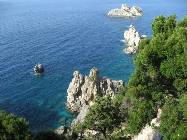 Татьяна Халявкина