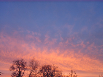 ����� ����