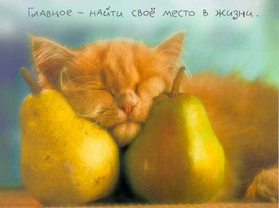 Людмила Корсук