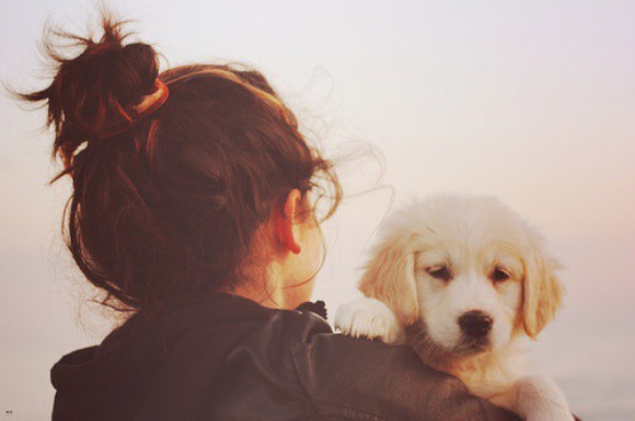 ��������� ���������