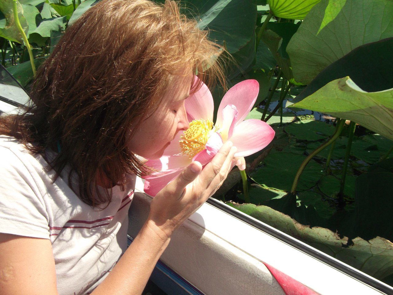 �������� �������