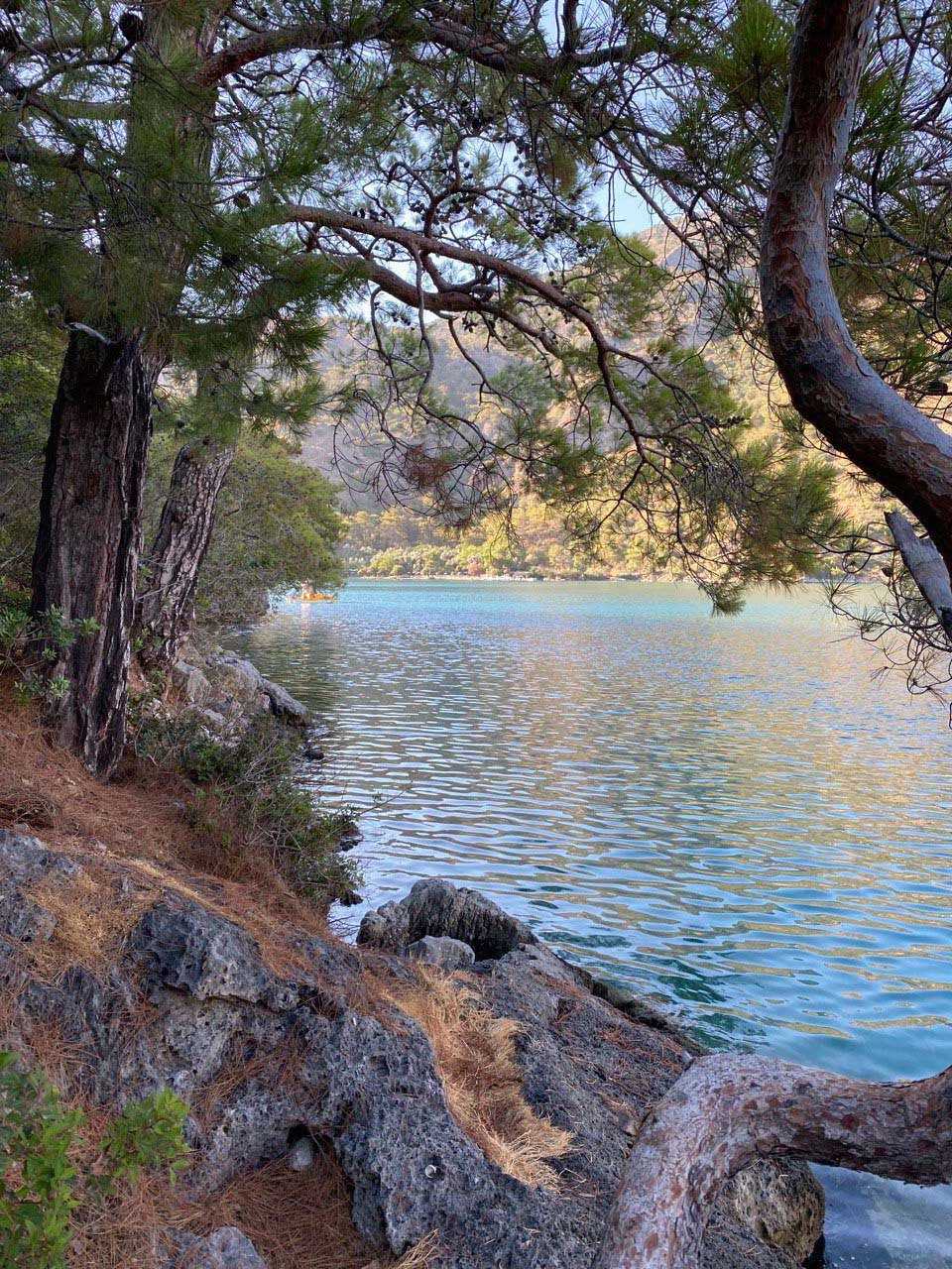 ������ ������������ ���������