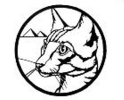 ���������������� ����