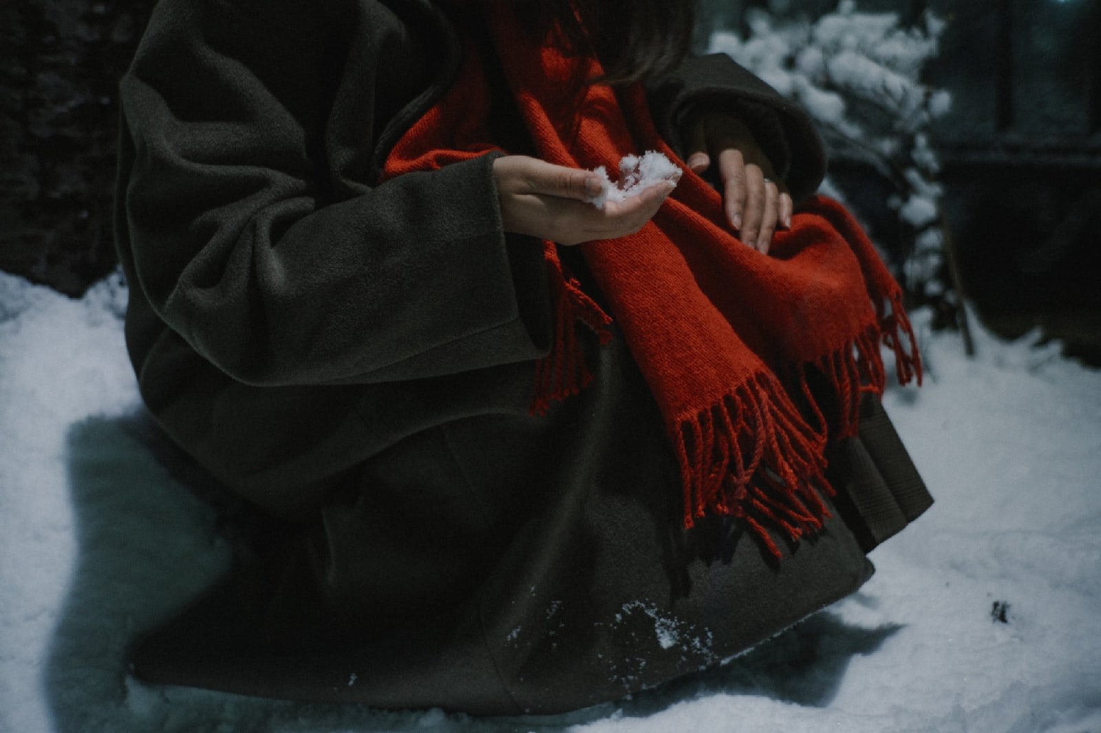 ������������ ������������