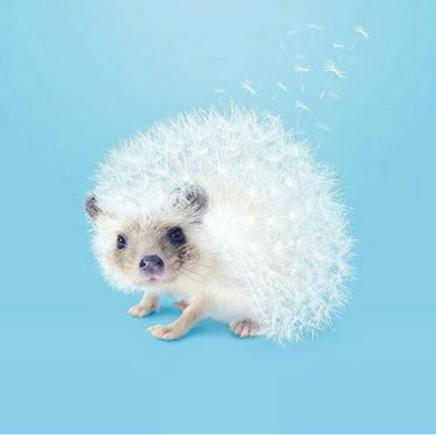 ����������� ������