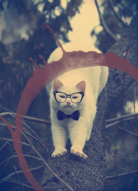 Мятный Пряник