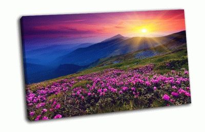 ���� ������