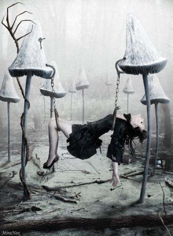 ���� ����