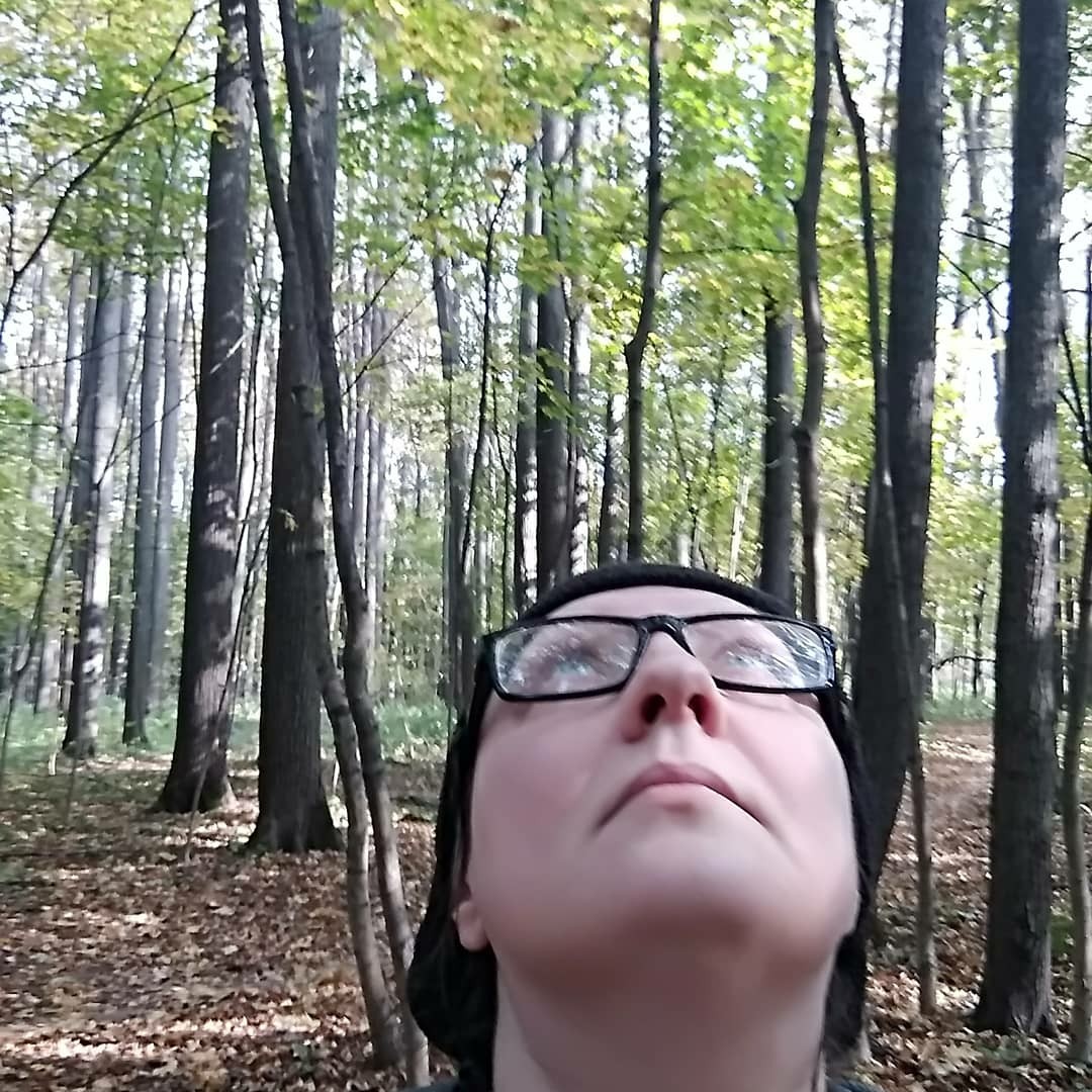 ����� ��������