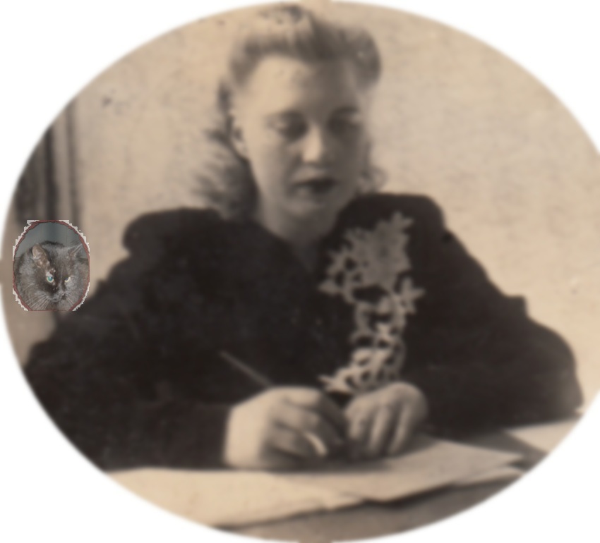 ���� ������