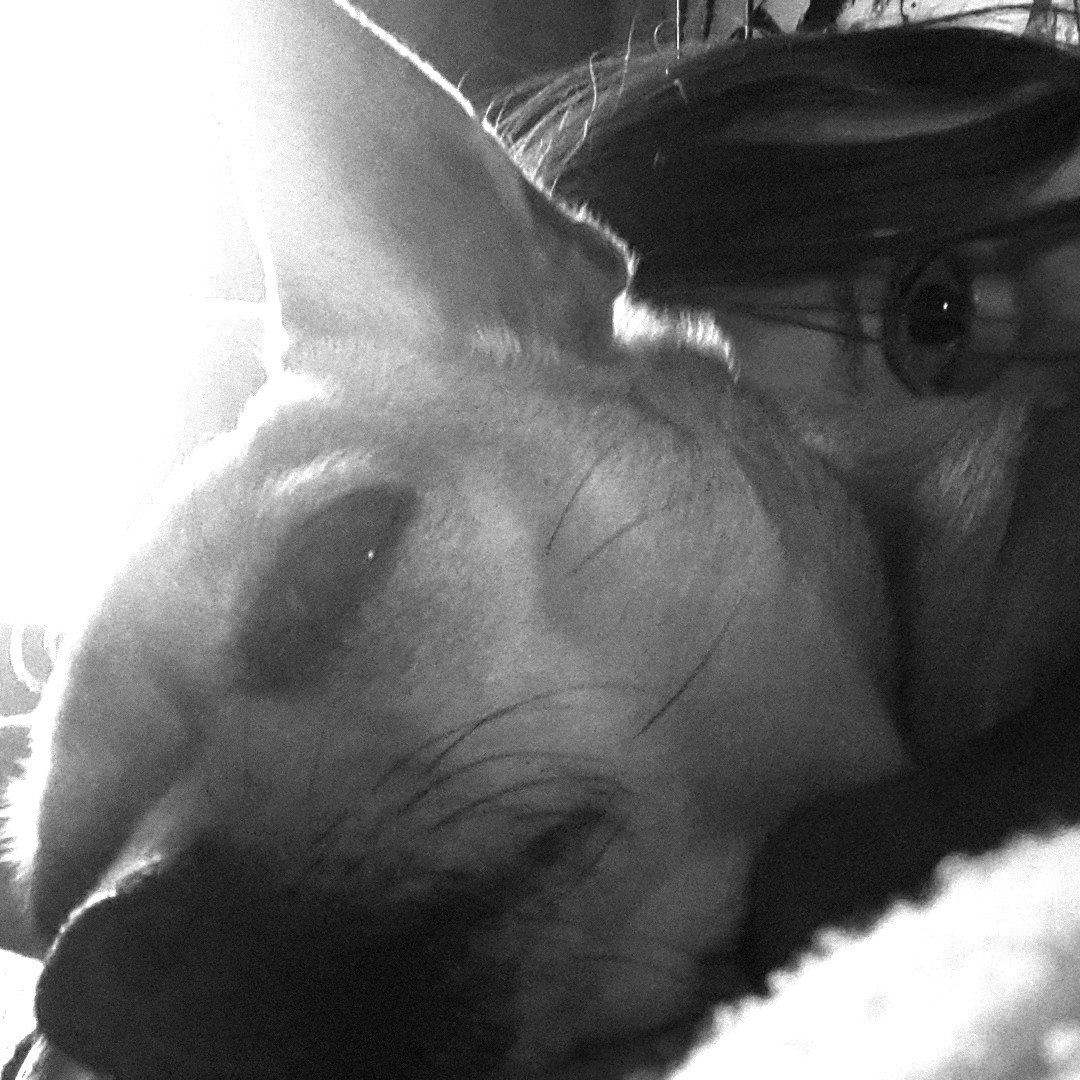 ���������������� ����