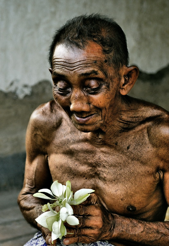 ������ ���������