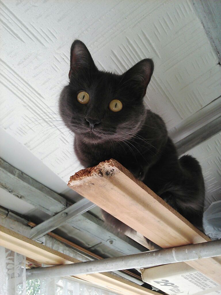 �������