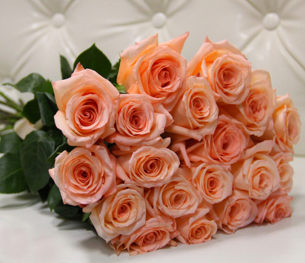 Татьяна Мелентьева