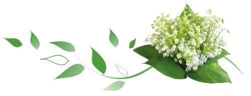 ����� ���������� ����������