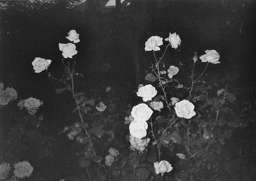 Хоррор Молебен