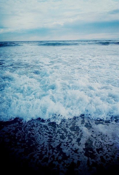 Алиса Морей