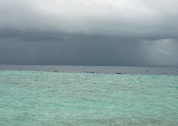 ����� �����