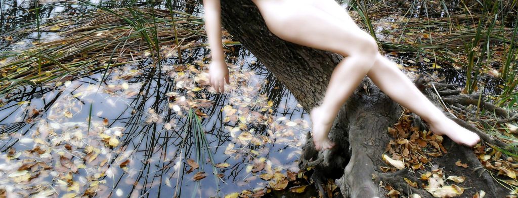 ������� ������������