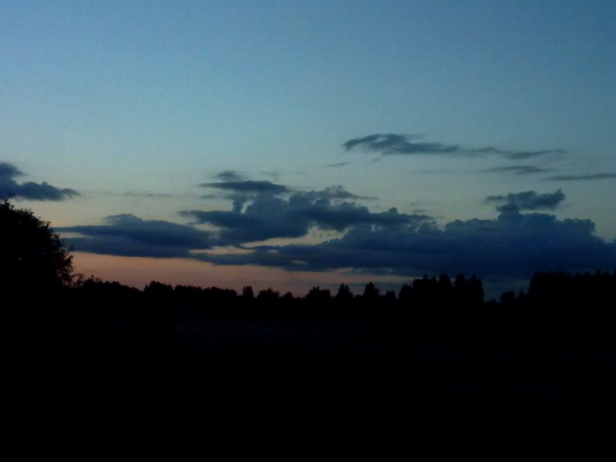 ��� ������