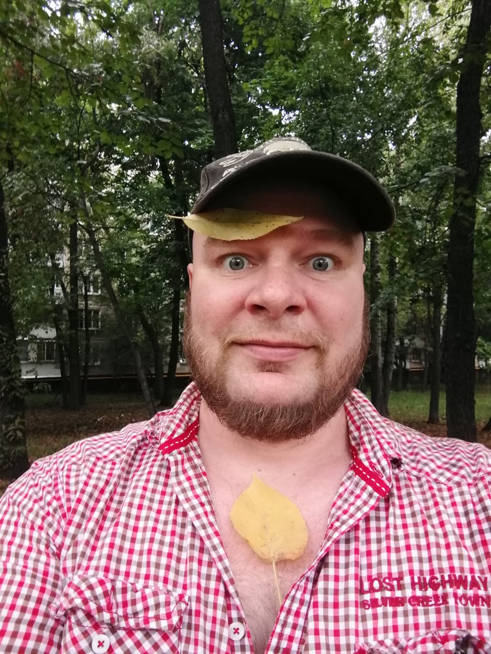 Михаил Морхов