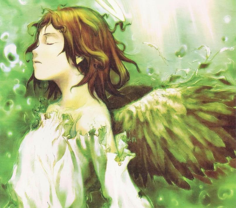 ��� ������