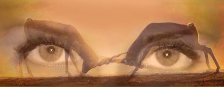 �������� �������