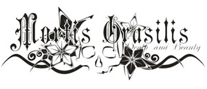 ������ ��������