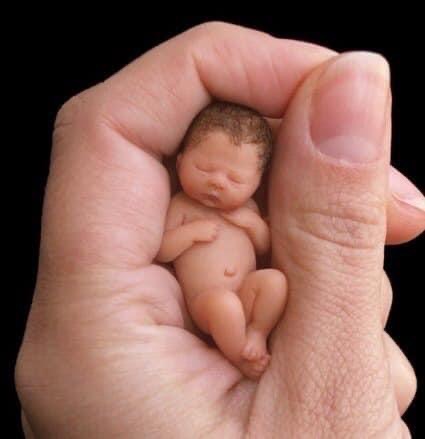 Сергей Стрельцов