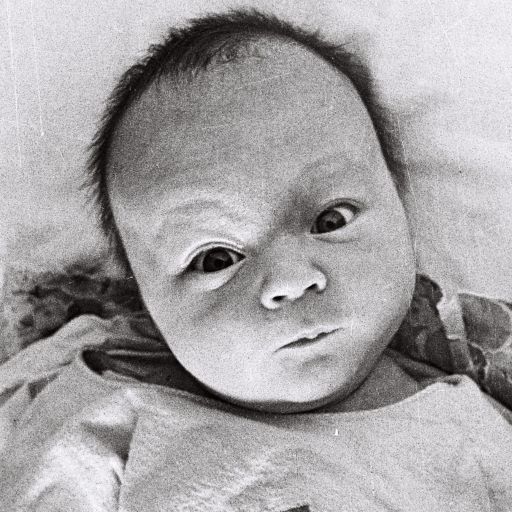 ������ ������