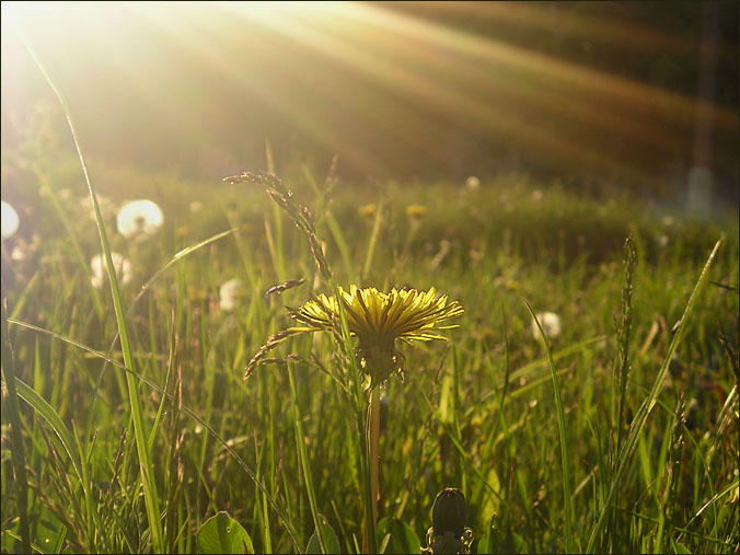 ������� ���������� ����������