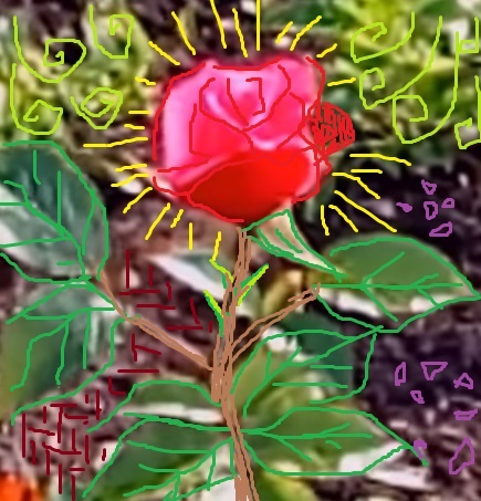 ���� ����������