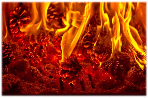 Можаев Денис