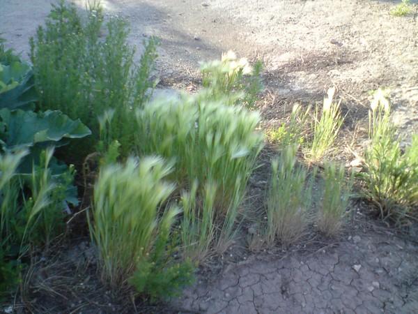 ����-�������