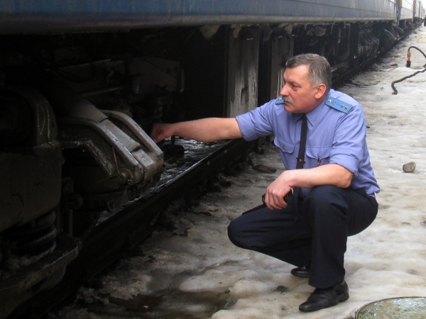 ���� ������